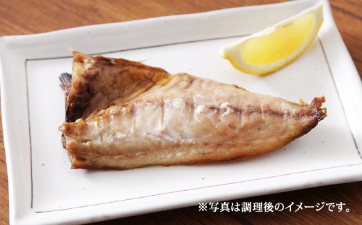 八代 海鮮太郎のおいしい 干物 お魚セット トロアジ トロサバ ホッケ 