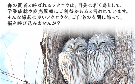 531.木製名入れ 手作り 表札 ふくろう（月）北海道 弟子屈町 - 北海道弟子屈町｜ふるさとチョイス - ふるさと納税サイト