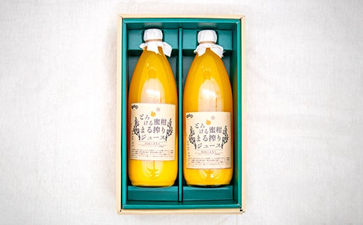 熊本市産 みかんジュース 1L×2本 100％ ストレート ジュース - 熊本県熊本市｜ふるさとチョイス - ふるさと納税サイト