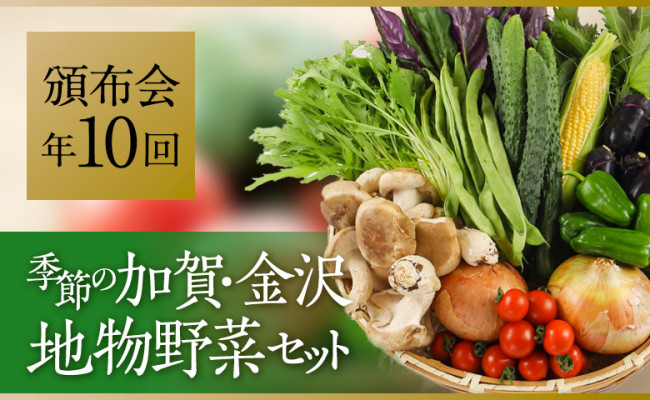 全10回】季節の加賀野菜・金沢地物野菜セット頒布会（毎月１回 