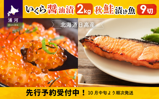 北海道日高産 いくら醤油漬(250g×8P)と漁師こだわり漬け魚(秋鮭)70g×9 