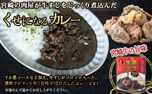 宮崎牛すじ濃厚黒カレー(辛口)4パック_LG-2601_ (都城市) 湯煎調理 レトルト食品 レトルトカレー 牛スジ 黒カレー 辛口 200g×4パック  大人向け 常温保存可能 - 宮崎県都城市｜ふるさとチョイス - ふるさと納税サイト