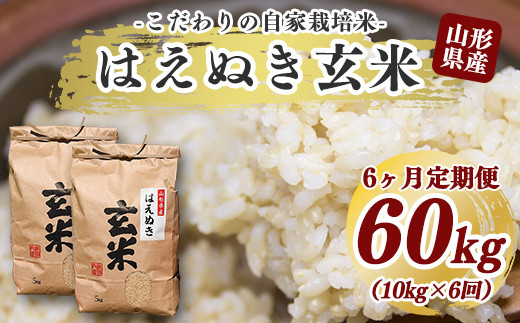 訳あり 玄米60kg 専用ページ - 食品