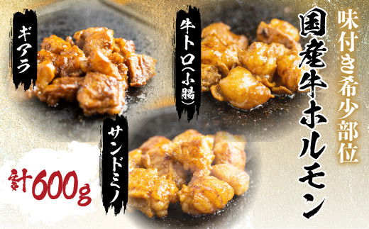 プレミアムホルモン セット 3種 詰め合わせ 計600g 牛ホルモン 白トロ