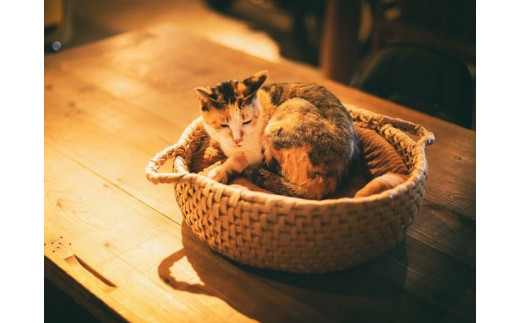 高原からの贈り物 手作り「猫の寝床兼籠」 - 愛媛県久万高原町