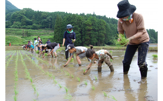 先着１０セット！！】干支の縁起物！畑萬陶苑のぐい呑み＆地酒セット E026 - 佐賀県伊万里市｜ふるさとチョイス - ふるさと納税サイト