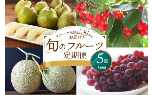 山形県産 たっぷり5種類フルーツ定期便（計5回） さくらんぼ メロン 