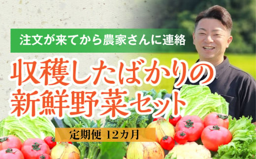 定期便/12カ月】注文が来てから収穫発送！収穫したばかりの新鮮野菜セット 《10品以上保証》 季節のお野菜 おまかせ お楽しみ 獲れたて産地直送 旬  鍋 冬野菜 ベジタブル ヘルシー 健康 詰め合わせ 一関市 - 岩手県一関市｜ふるさとチョイス - ふるさと納税サイト