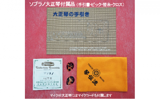 初心者用ソプラノ大正琴「若葉」[№5659-1351] - 長野県駒ヶ根市｜ふるさとチョイス - ふるさと納税サイト