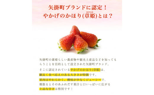 贈答用】やかげのかほり(章姫) 約1kg 24～36粒前後 先行予約《令和6年1月下旬-3月末頃出荷》田尻盛果園 フルーツ 果物 いちご 苺 イチゴ  岡山県 小田郡 矢掛町 クール便 章姫 あきひめ - 岡山県矢掛町｜ふるさとチョイス - ふるさと納税サイト