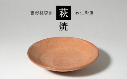 萩焼 吉野桃李作 萩七寸皿 ｜ 和食器 食器 皿 萩焼 お洒落 オシャレ 工芸品 名産品 山口 美祢 特産品