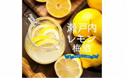 梅酒 瀬戸内レモン梅酒 720ml 名門サカイ 瀬戸内 レモン 檸檬 飲料 梅 うめ酒 lemon 柑橘 果実酒 お酒 アルコール リキュール ロック  水割 ソーダ割 梅 うめ 家飲み 飲みやすい 果汁 フルーツ 果物 くだもの ギフト 贈答用 国産 愛媛 宇和島