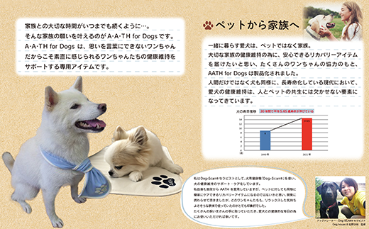 I4-53A.A.TH for Dogs / リカバリースリーピングマットS 小型犬ケージサイズ（品番：AAD00002-S） -  新潟県長岡市｜ふるさとチョイス - ふるさと納税サイト