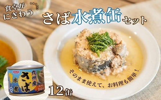 さば水煮缶セット(12缶)【B2-108】 サバ さば 鯖 缶詰 非常食 保存食 海鮮 さば缶 肴 おかず 栄養 健康|有限会社法知園