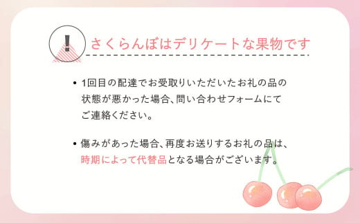 先行予約 さくらんぼ 紅秀峰 特秀2Lサイズ 300g 化粧箱鏡詰め 2024年産 令和6年産 山形県産 ns-bst2x300 -  山形県尾花沢市｜ふるさとチョイス - ふるさと納税サイト