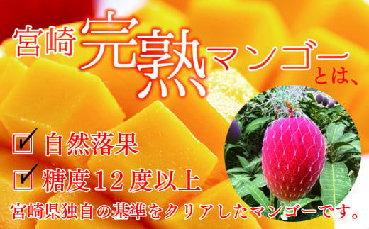 完熟 マンゴー 3L～4L 2玉 濃厚 宮崎 高級 果物 フルーツ 贈答 ギフト 甘い 先行受付 送料無料（04-77）