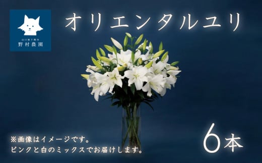 オリエンタルユリ 花束 6本 (蕾数 約25個) 花 切り花 ゆり 下関 山口 - 山口県下関市｜ふるさとチョイス - ふるさと納税サイト