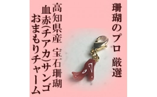 【本物の宝石珊瑚】小さい血赤サンゴ枝御守チャーム 高知県産血赤サンゴの赤を見たいという方に。 - 高知県高知市｜ふるさとチョイス