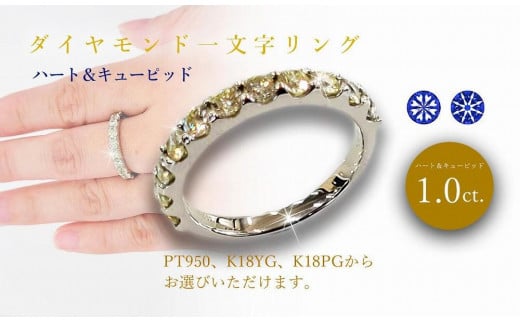 pt950 1.0ct ダイヤモンドハーフエタニティリング 11号 - アクセサリー