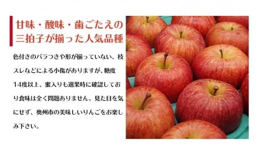 数量限定】江刺りんご サンふじ 5kg（14～20玉）【2024年12月中旬お届け】特品 訳あり 糖度14度以上 ブランドフルーツ 林檎 果物  くだもの 家庭用 リンゴ - 岩手県奥州市｜ふるさとチョイス - ふるさと納税サイト