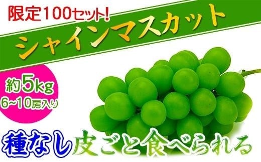 2024年発送》大粒 シャインマスカット セット 秀品 約5kg ( 6～10房 ) 2024年発送 ｜ 香川産 ぶどう マスカット / 香川県坂出市  | セゾンのふるさと納税