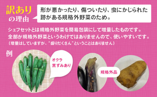 １５８３ 野菜 フードロス対応 規格外野菜利用 オーガニック野菜 ｢ シェフＭセット ｣ しあわせ野菜畑 - 静岡県掛川市｜ふるさとチョイス -  ふるさと納税サイト