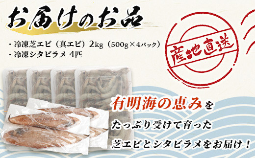 冷凍芝エビ（真エビ）2kg（500g×4パック）＆有明海産 シタビラメ約150g×4尾【有明海の恵】簡単調理 セット D-177 -  佐賀県鹿島市｜ふるさとチョイス - ふるさと納税サイト