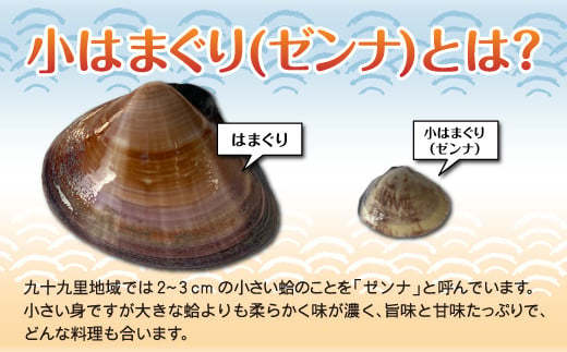 小はまぐり（ゼンナ）2kg（400g×5パック） ふるさと納税 貝 ぜんな ゼンナ 小はまぐり お吸い物 汁もの パスタ クラムチャウダー うどん  国産 千葉県 送料無料 SHF008 - 千葉県白子町｜ふるさとチョイス - ふるさと納税サイト