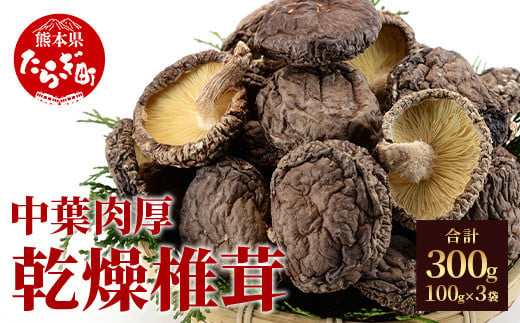 農林水産大臣賞受賞】槻木産 中葉厚肉 乾燥椎茸 3袋セット 計300g ＜100g×3＞ しいたけ 熊本県 多良木町 原木 シイタケ 【 椎茸  しいたけ シイタケ 槻木 つきぎ 乾燥 乾燥椎茸 干し 椎茸 原木 厚肉 】 026-0573 / 熊本県多良木町 | セゾンのふるさと納税