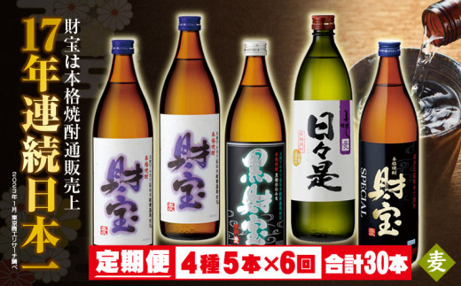 1765 【定期便】６回お届け 焼酎４種５本飲み比べ【５合瓶(麦)】温泉水仕立て！財宝 - 鹿児島県鹿屋市｜ふるさとチョイス - ふるさと納税サイト