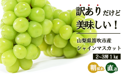 ふるさと納税 ＜2024年 先行予約＞本場 山梨 訳あり 不揃い シャイン ぶどう 葡萄 シャインマスカット 2～3房 約1kg 山梨県 笛吹市  高評価 産地直送 ランキング お取り寄せ ご自宅用 ご家庭用 ギフト プレゼント フルーツ 154-027 - 山梨県笛吹市｜ふるさとチョイス ...