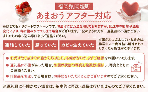 2023年12月～2024年1月発送】【予約受付】特別栽培 あまおう 1