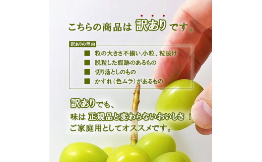 ふるさと納税 ＜2024年 先行予約＞本場 山梨 訳あり 不揃い シャイン ぶどう 葡萄 シャインマスカット 2～3房 約1kg 山梨県 笛吹市  高評価 産地直送 ランキング お取り寄せ ご自宅用 ご家庭用 ギフト プレゼント フルーツ 154-027 - 山梨県笛吹市｜ふるさとチョイス ...