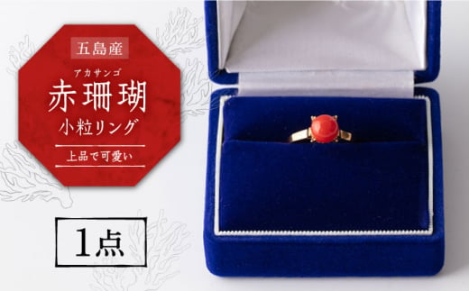 【上品でかわいい赤珊瑚リング】五島産 赤珊瑚 小粒リング 限定 アクセサリー 指輪 五島市/出口さんご [PBK025]