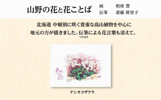 絵葉書 はがき オリジナル 10枚 セット ハガキ 可愛い ギフト 風景 花 植物|