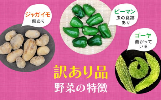 １５８３ 野菜 フードロス対応 規格外野菜利用 オーガニック野菜 ｢ シェフＭセット ｣ しあわせ野菜畑 - 静岡県掛川市｜ふるさとチョイス -  ふるさと納税サイト