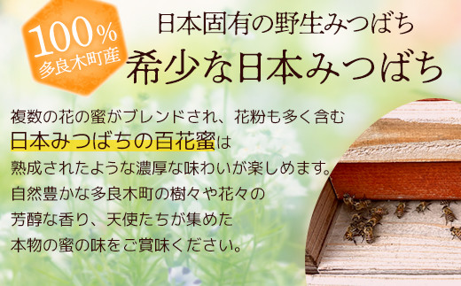 日本みつばち 蜂蜜「天使の宝」＆無農薬 「ブラックベリー ジャム」 セット 【希少 ニホンミツバチ 高純度 垂れ蜜 ハチミツ ジャム 無添加  】094-0002 / 熊本県多良木町 | セゾンのふるさと納税