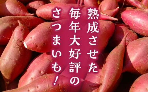 先行予約】【数量限定】 さつまいも 紅はるか or シルクスイート 蜜芋 10kg 【合同会社 福福堂】 サツマイモ 濃厚 甘味 熊本県 特産品 熟成  訳あり [ZCN001] - 熊本県山鹿市｜ふるさとチョイス - ふるさと納税サイト