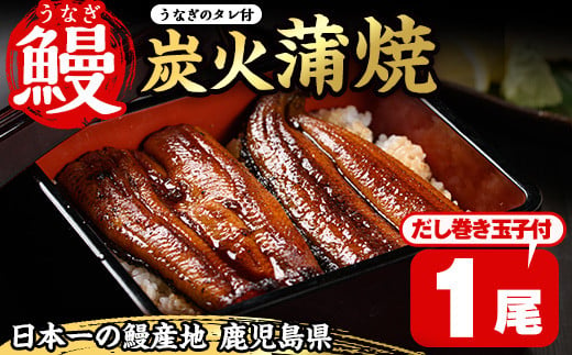 No.310 鹿児島県産うなぎの炭火蒲焼(1尾・タレ付)と自慢の出汁巻き卵1本付！ 国産 九州産 鰻 ウナギ うな重 うな丼 蒲焼 卵焼き 出汁巻き  出汁巻きたまご 炭火焼 おかず 特産品 お土産 セット冷凍【家むら】 - 鹿児島県日置市｜ふるさとチョイス - ふるさと納税サイト