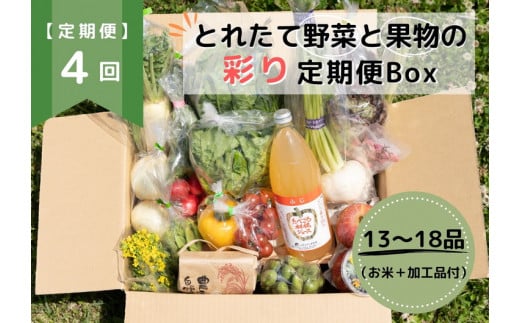 限定】【定期便4回】とれたて野菜と果物の彩り定期便Box【お米 加工品付き】 13～18品目の豪華セット ※着日指定不可 ※沖縄・離島への配送不可  ※2024年4月中旬～2025年3月中旬頃に順次発送予定 - 福島県国見町｜ふるさとチョイス - ふるさと納税サイト