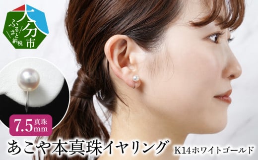 あこや本真珠ピアス 真珠8.5mm 14Kホワイトゴールド アクセサリー ジュエリー ピアス シンプル 上品 高品質 贈り物 天然 真珠 冠婚葬祭  レディース R14109 - 大分県大分市｜ふるさとチョイス - ふるさと納税サイト