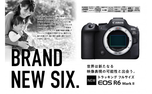 キヤノンミラーレスカメラ EOS R6 Mark Ⅱ・RF24-105 L IS USM レンズキット 大分市 高画質 追尾 ミラーレス 一眼 カメラ  レンズ セット 動画 撮影 R14152 - 大分県大分市｜ふるさとチョイス - ふるさと納税サイト