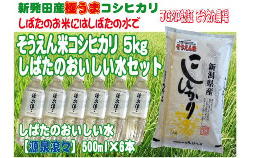 令和5年産 新潟県産 そうえん米コシヒカリしばたのおいしい水セット 【 新潟県 新潟産 新潟米 新発田産 新発田 お米 米 コシヒカリ とんとん市場  せいだ そうえん米 5kg セット おいしい水 数量限定 D32_01 】 - 新潟県新発田市｜ふるさとチョイス - ふるさと納税サイト