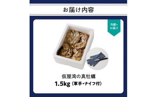 仮屋湾の真牡蠣（1.5kg）【殻付き】 - 佐賀県玄海町｜ふるさとチョイス - ふるさと納税サイト