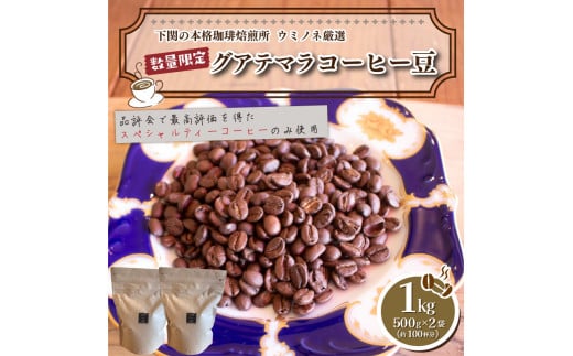 食品サンプル コーヒー豆 ロースト 450g
