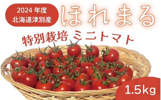 R6年産 特別栽培 ミニトマト ほれまる 1.5kg 細川農園/010-24300-b01A - 北海道津別町｜ふるさとチョイス - ふるさと納税サイト