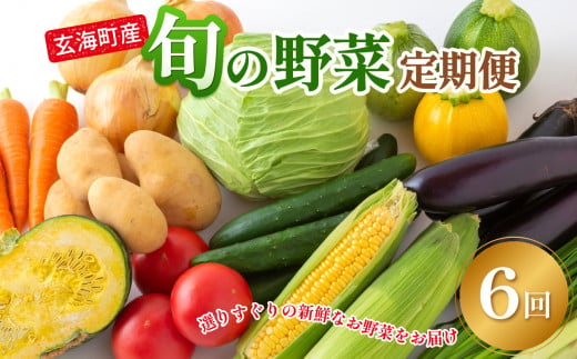 ふるさと納税 旬の野菜定期便 3か月 佐賀県玄海町 年末のプロモーション - その他野菜