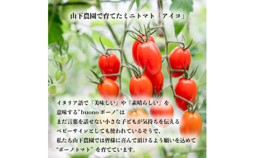 ミニトマト 2kg アイコ トマト ボーノトマト 農家直送 サラダ 【 とまと ふるーつとまと トマト とまと tomato 美味しい 甘い 野菜 】  - 徳島県阿波市｜ふるさとチョイス - ふるさと納税サイト