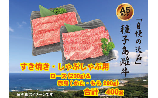 自慢 の逸品」 種子島 生まれ 雌牛 切り落とし 肉 （200g×5パック）NFN539 【300pt】 最高級 赤身 切り落とし肉 かた 肩 もも  バラ イノシン酸 オレイン酸 - 鹿児島県西之表市｜ふるさとチョイス - ふるさと納税サイト