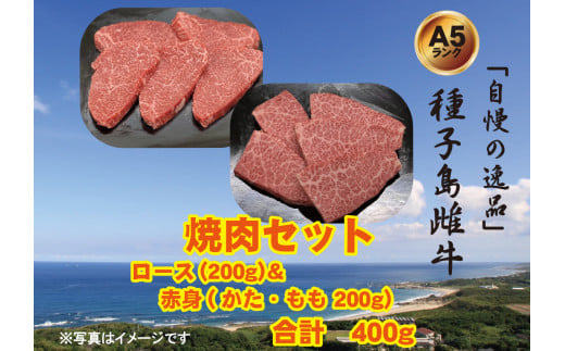 自慢 の逸品」 種子島 生まれ 雌牛 切り落とし 肉 （200g×5パック）NFN539 【300pt】 最高級 赤身 切り落とし肉 かた 肩 もも  バラ イノシン酸 オレイン酸 - 鹿児島県西之表市｜ふるさとチョイス - ふるさと納税サイト